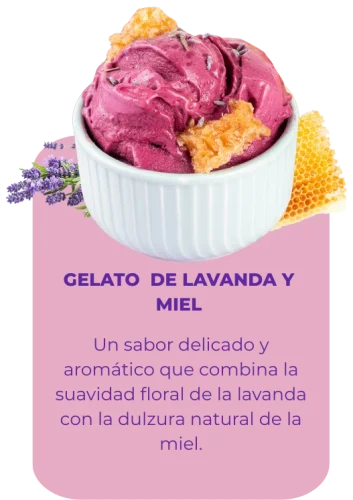 gelato de lavanda y miel (5)